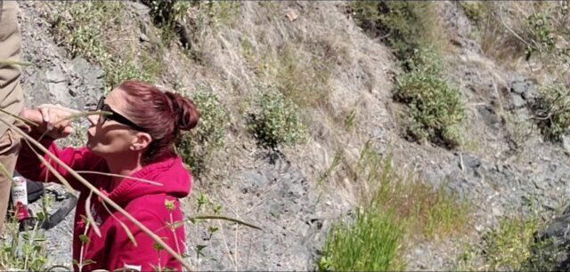 Caught Sucking Came Mouth Hiking