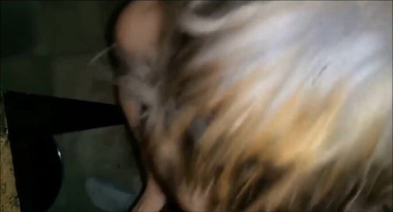 Blowing again and again