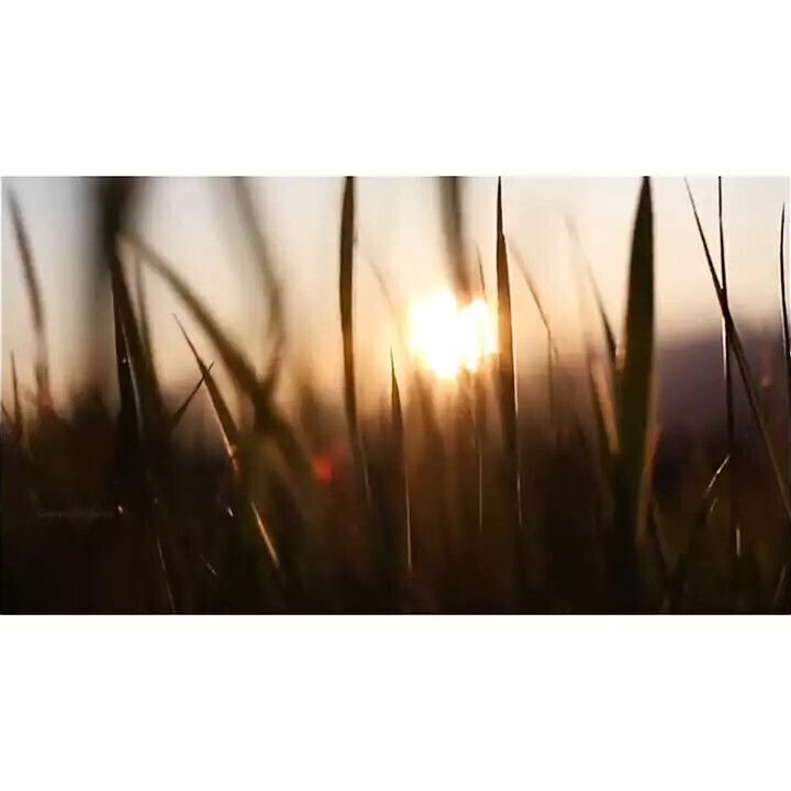 Naughty indian girl JUST