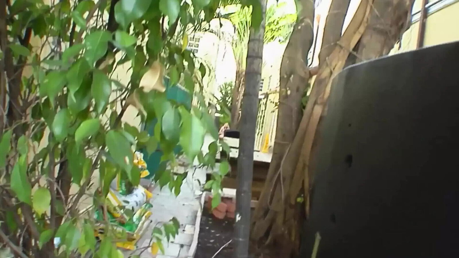 Horny milf lets herself fucked nicely neighbor while husband working.