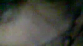 brunette sensual blowjob