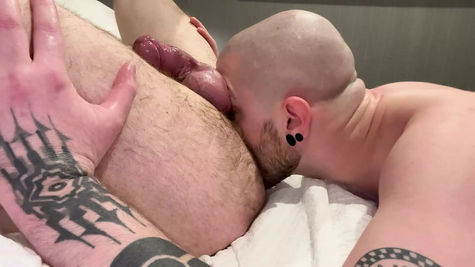 Verbal bear destroying hole