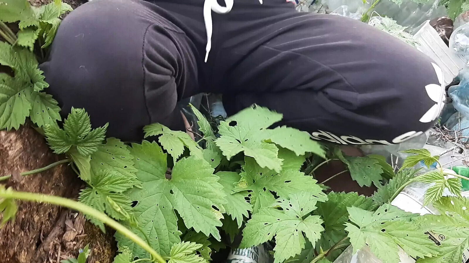 village grandmother's, masturbating wherever possible Lesbian-candys