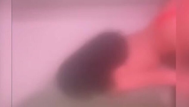 Vaginarosadaflaquitaculoredondo