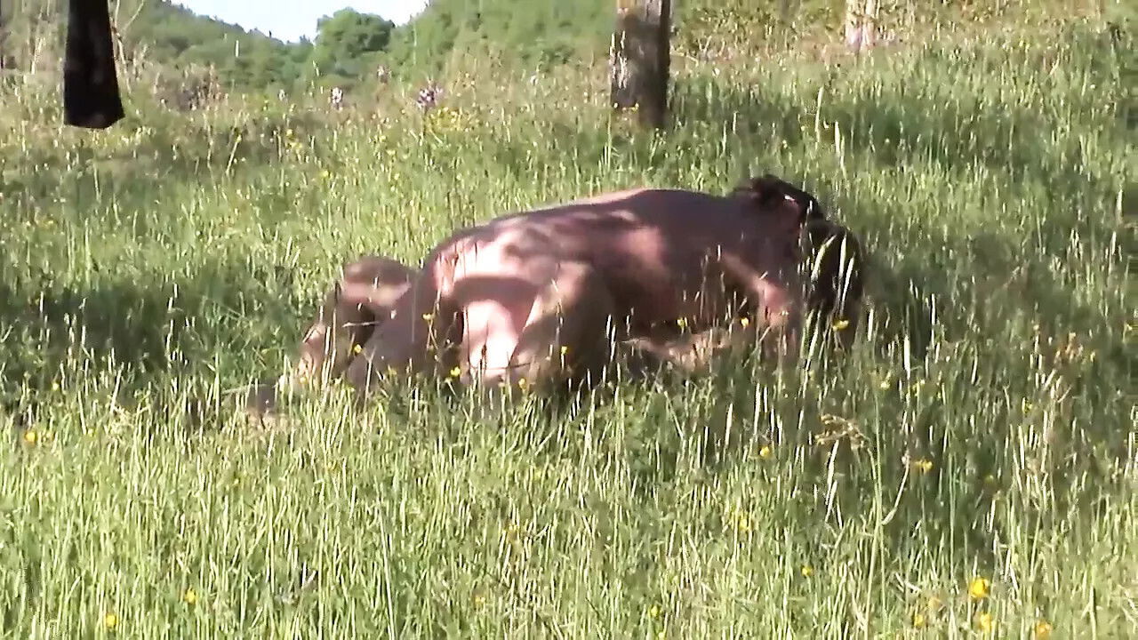 Roberta Farnese fucked workshop (Full Movie)