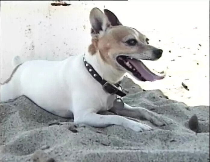 Babewatch (Full Original Movie uncut)