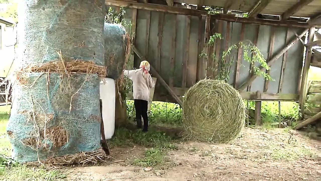 Wild brunette takes from behind