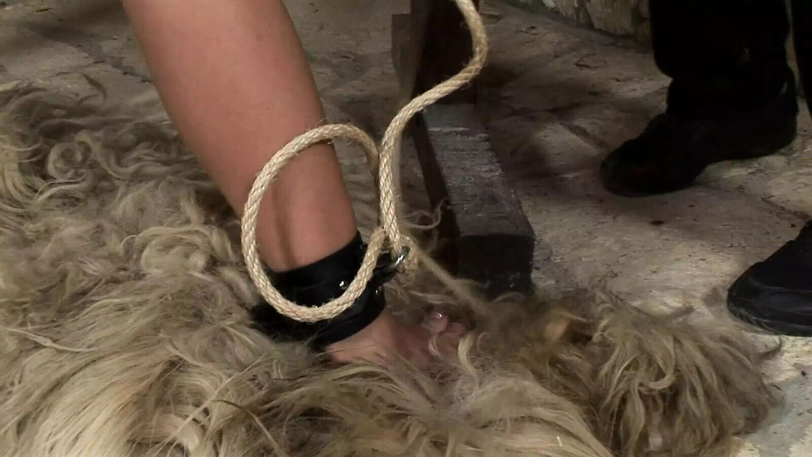 Torturer Master! Dungeon Sadists!