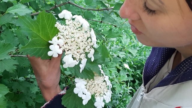 seduced gardener's girl, with whom fuck barn Lesbian_illu