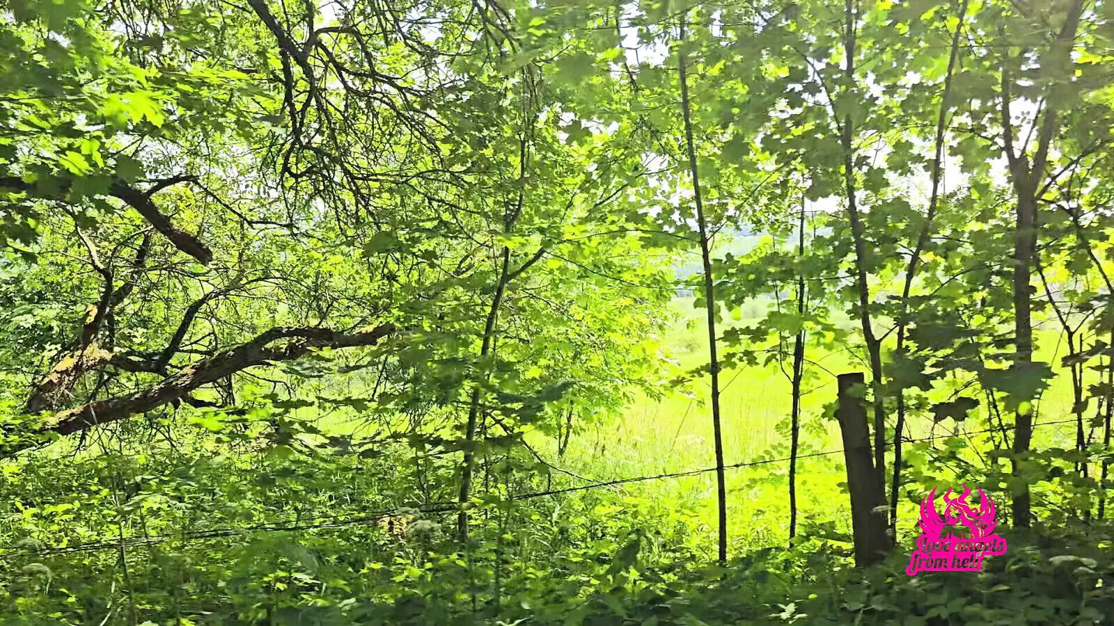 wife cheats husband bicycle trip.