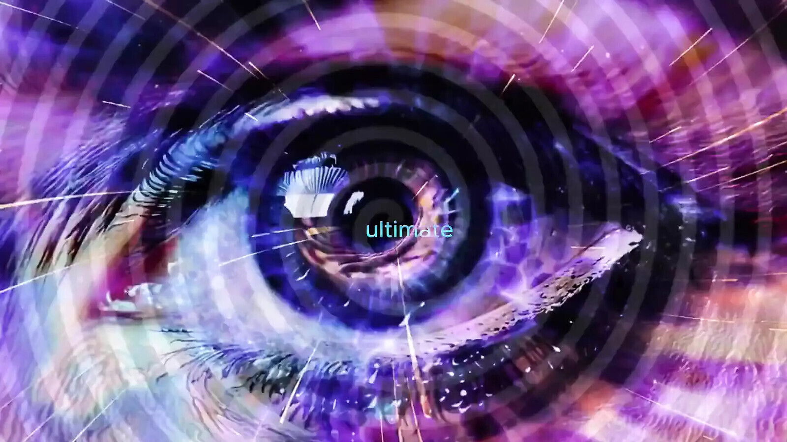 Toolbox: Were Born Sperm! Only Goal Life: Experimental Transformation!