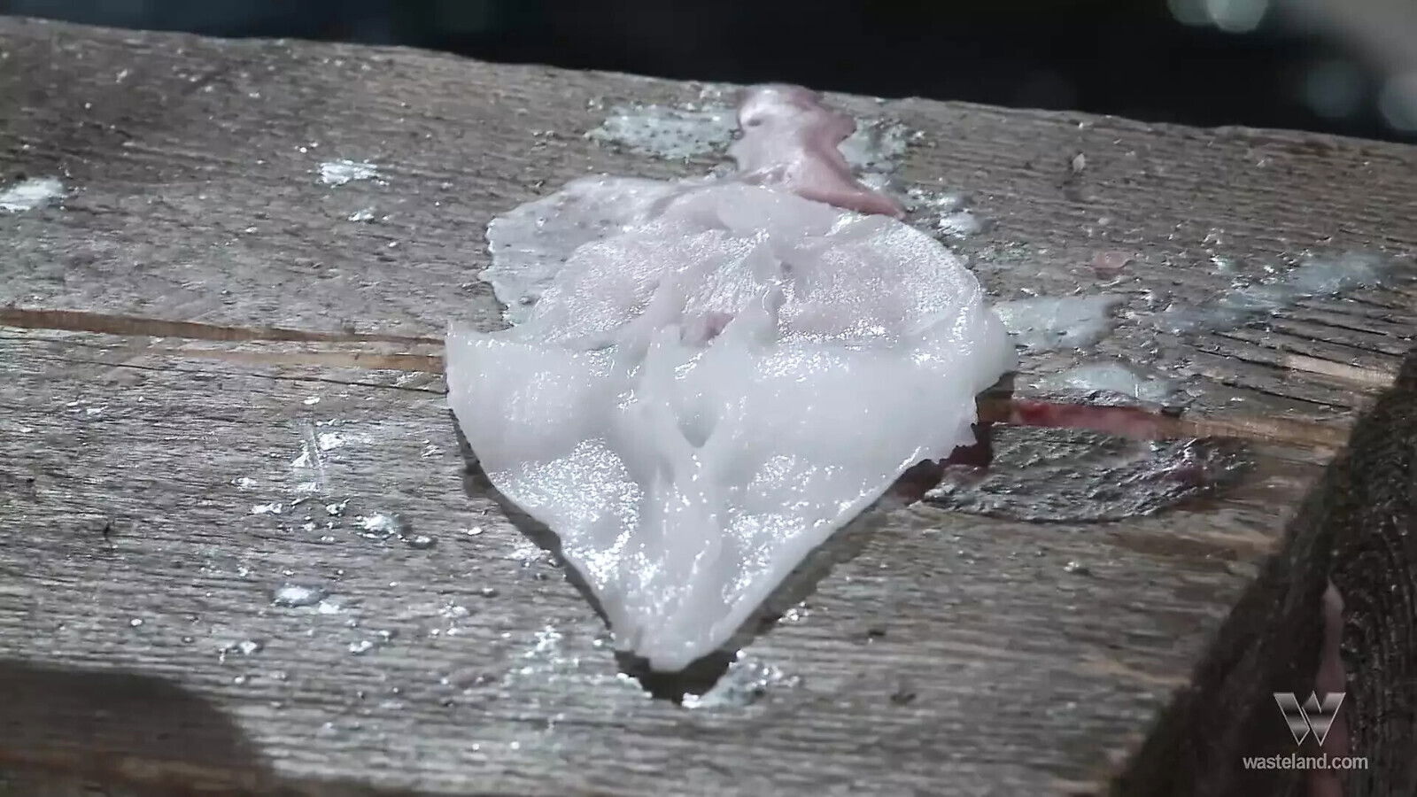 Tied up asian slut wearing glasses gets her pussy rubbed