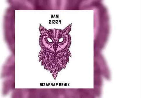 Dani 21334 (Bizarrap Remix)