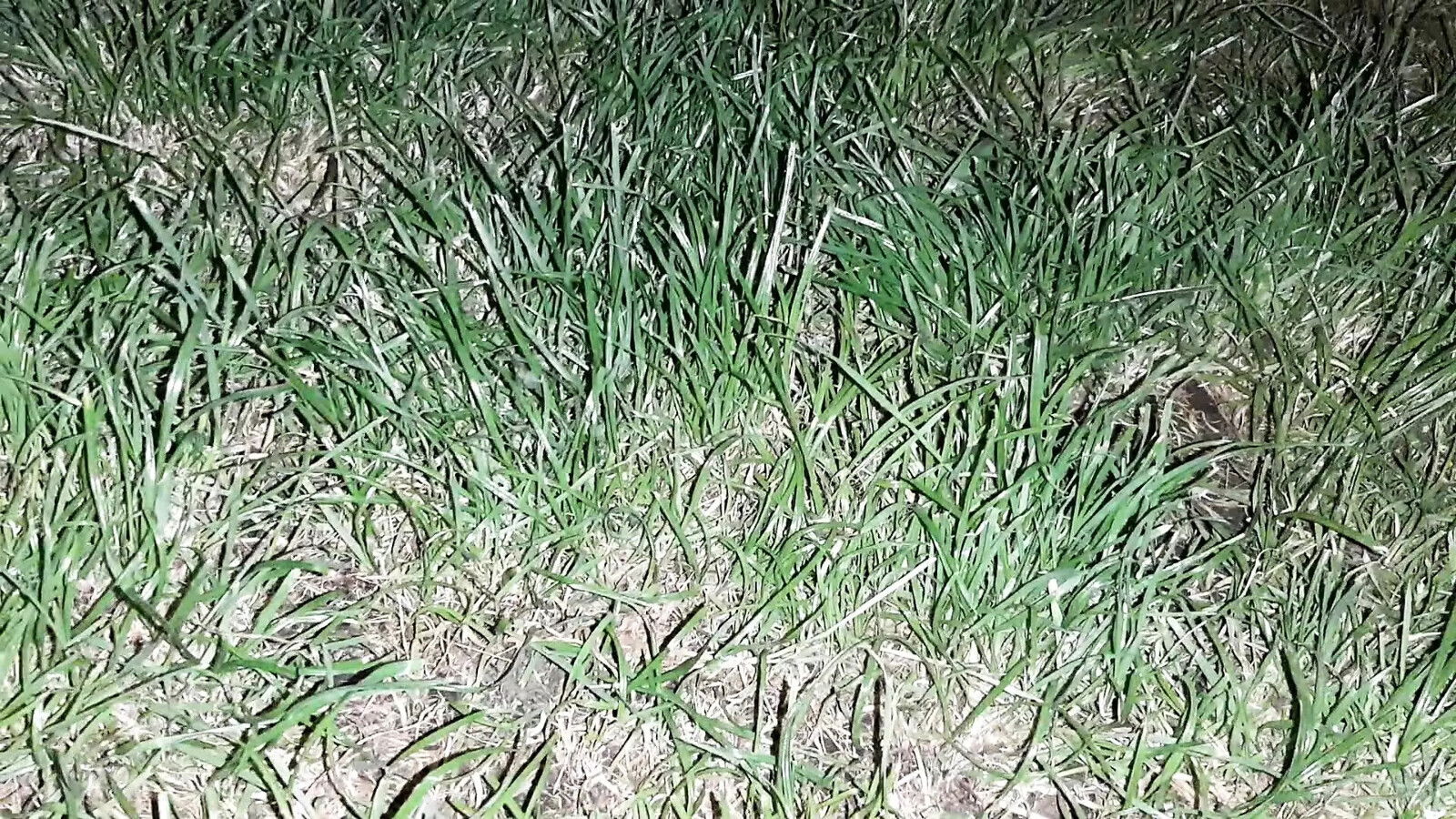 girlfriend fetishist loves masturbate public places Lesbian-candys