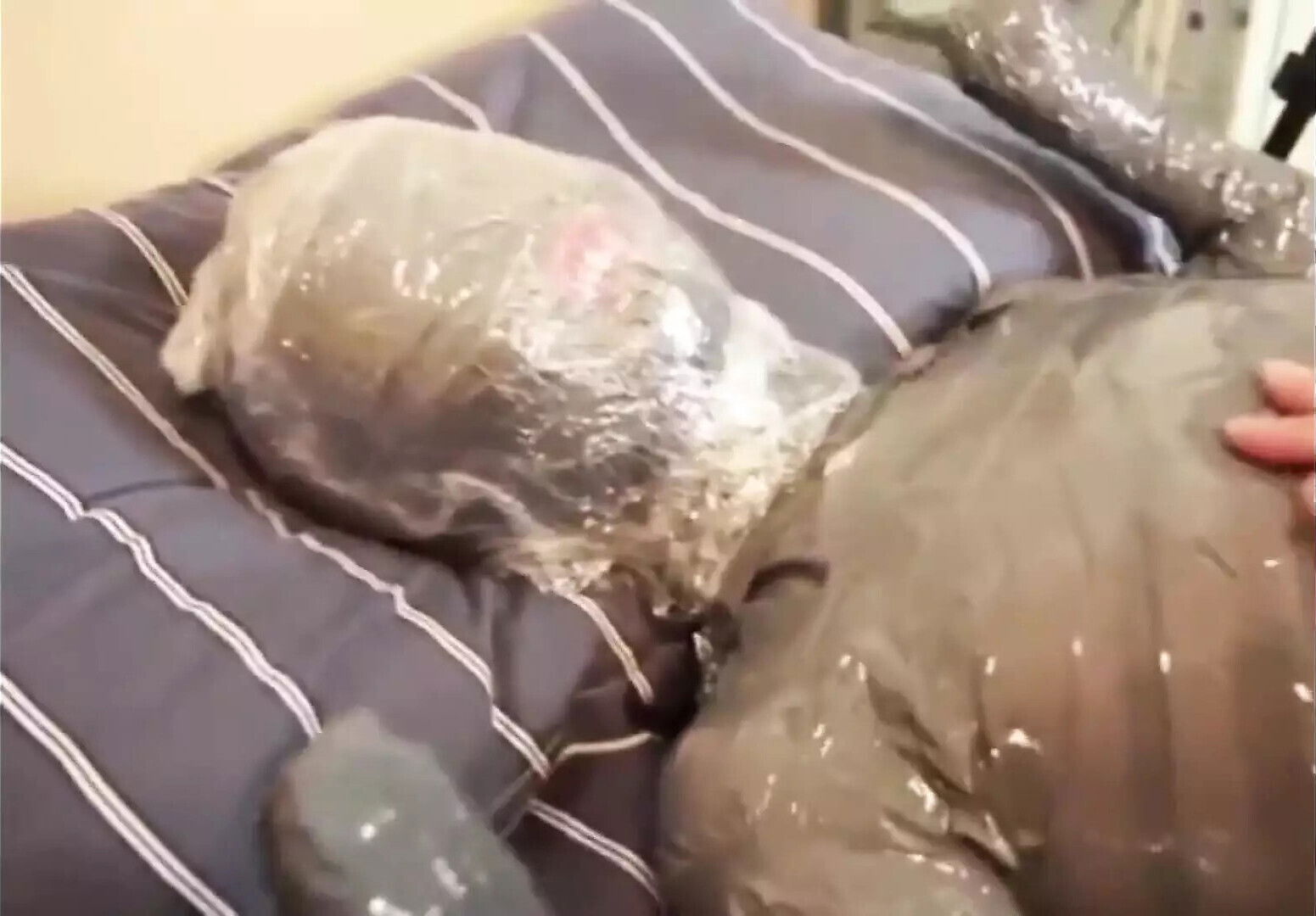 Adhesive Tape Tightening Binding