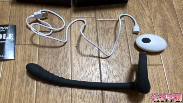 アナルバイブで絶頂する私❤️アナルバイブ検証動画 秘密学園 SecretGakuen