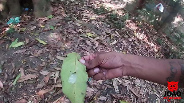 Comi Rapidinho Novinha Mato at&eacute_ Gozar