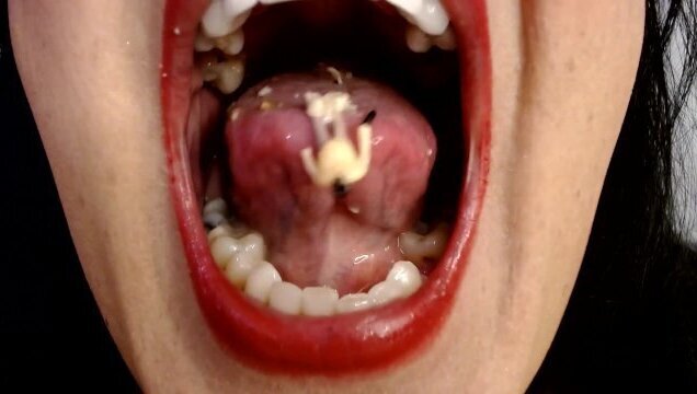 VORE Multiple Devoured Oatmeal