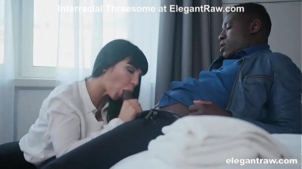 Berlin Thieves Files