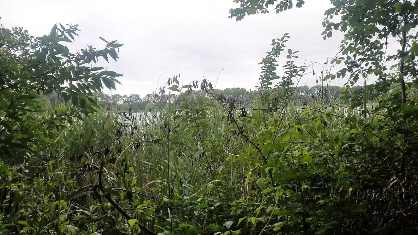 Horny amateur teen love outdoor