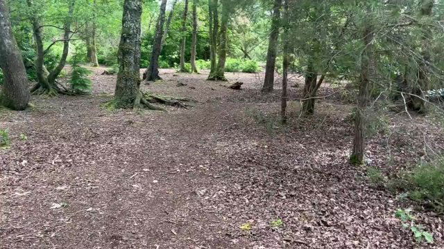 summer walk woods ended with huge desperate wetting accident- almost caught!