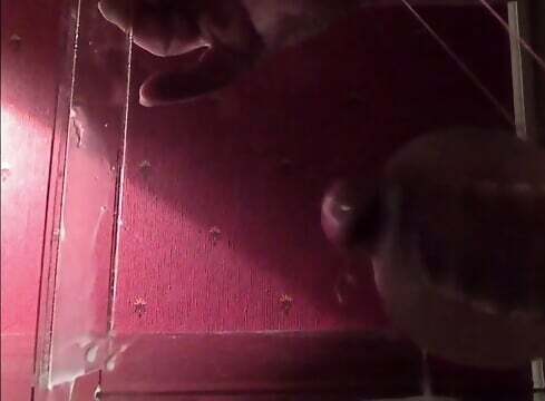 Muscular Daddy's Huge Moan