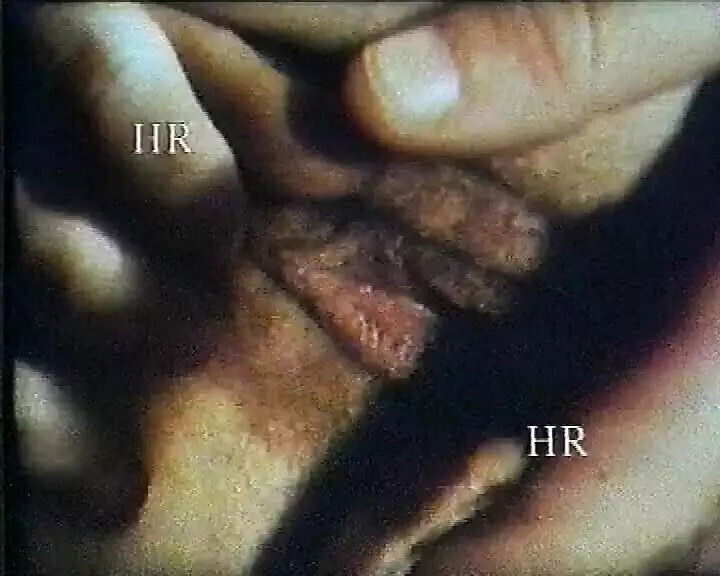 Italian porn videos taken from step