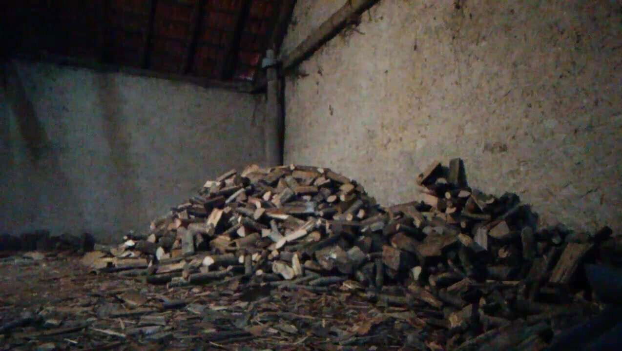 pour chercher bois dehors