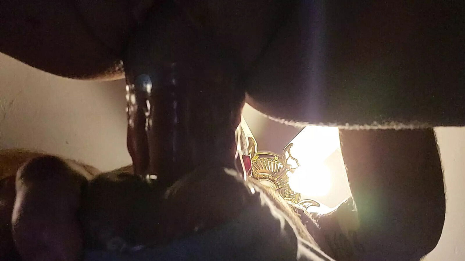 Dildo Baggins goes hole!