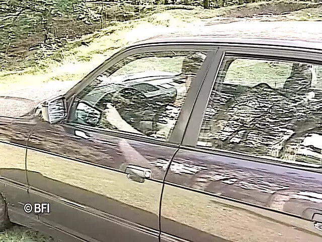 Dutch girls outdoor adventure