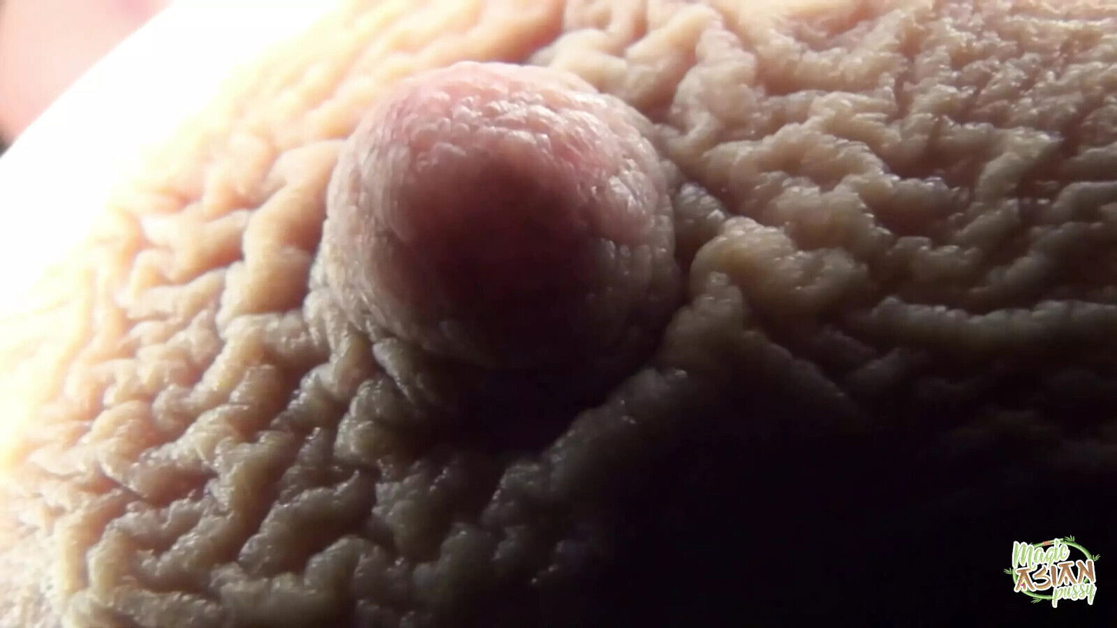 This Bitch Gave Some Dudes Blowjobs They Could Great