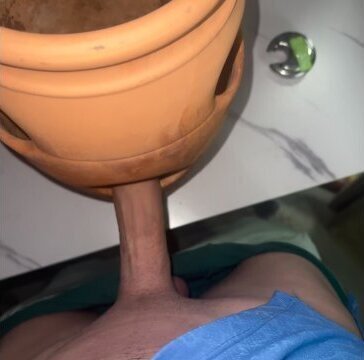 Sticking worm flower