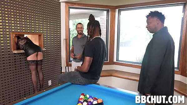 Cocks Frenchy Prince, Goldey, Frenchy, Justice Nice