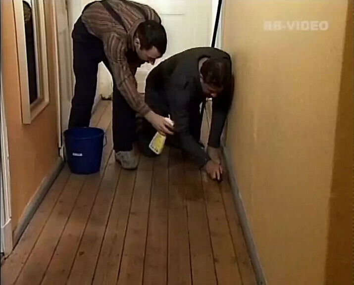 Best rearl german amteur free version complete 1358