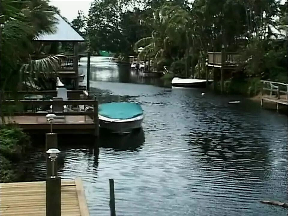 Juicy Creampies Episode