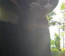 Mycock4U2see Jerking off in the Forest