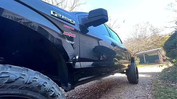 Cheetah Adora KEEPING COUNTRY