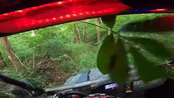 Cheetah Adora&rsquo_s ride