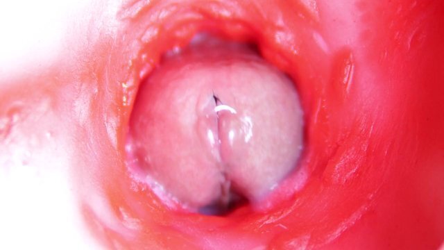 CAMERA INSIDE PUSSY: ALMOST PUSSY! BEST Internal ASMR