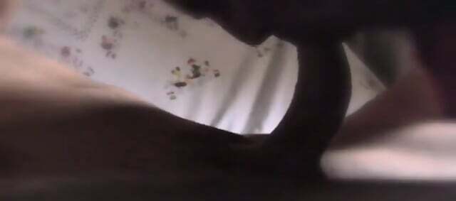 Sucking Curved Swallowing Load