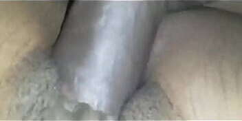 Saturday night beaver