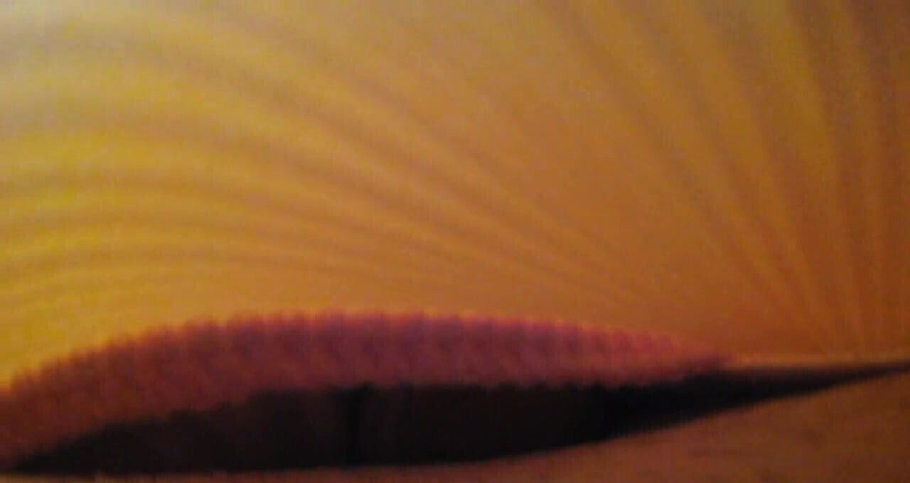 down Pantysex with Body