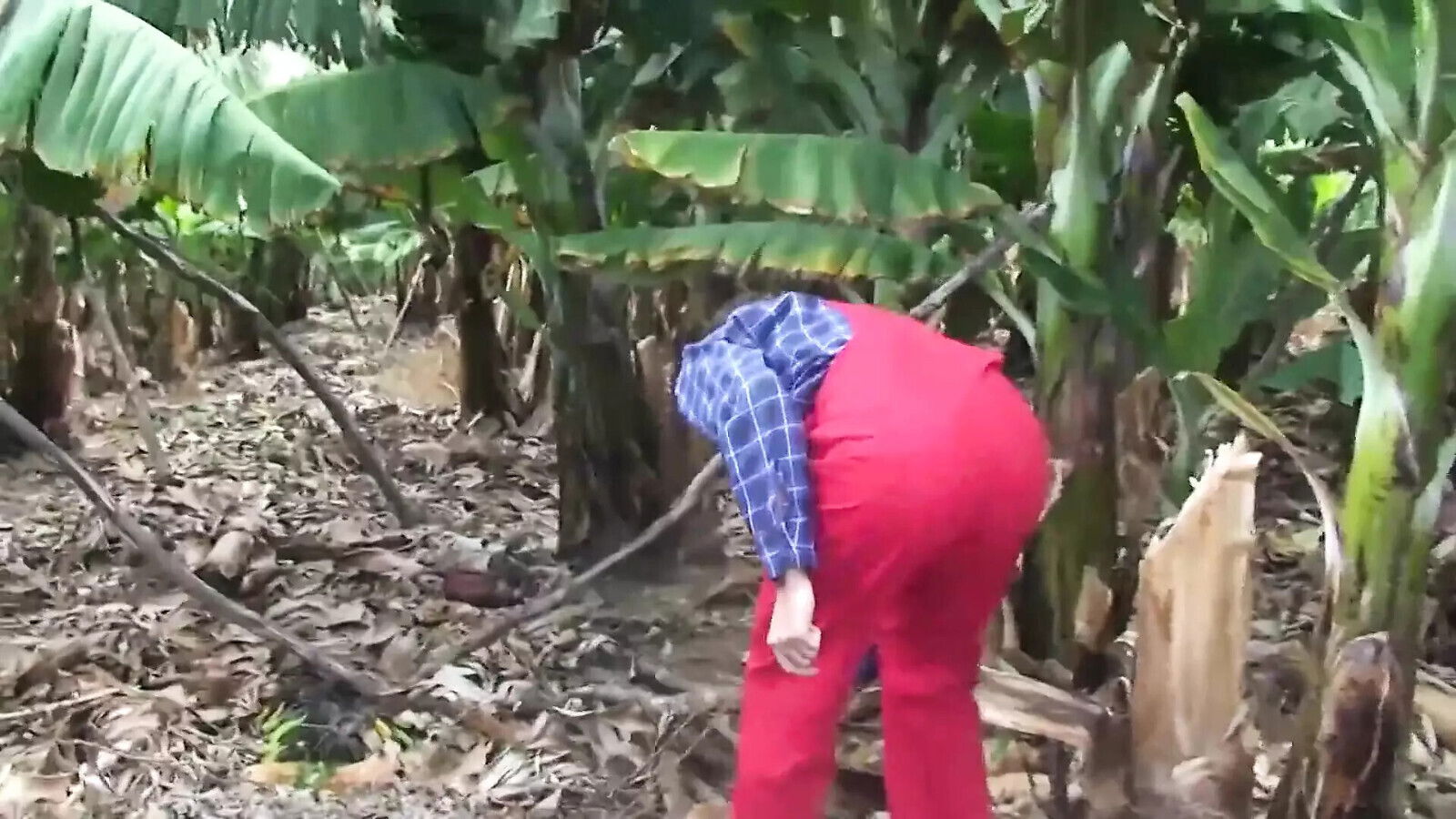 Fantastic bouncing dude's hard dong