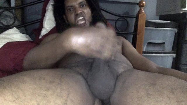 Black stallion bedtime masturbation