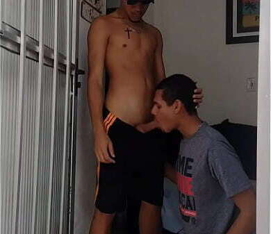 namorado pica logo cedo