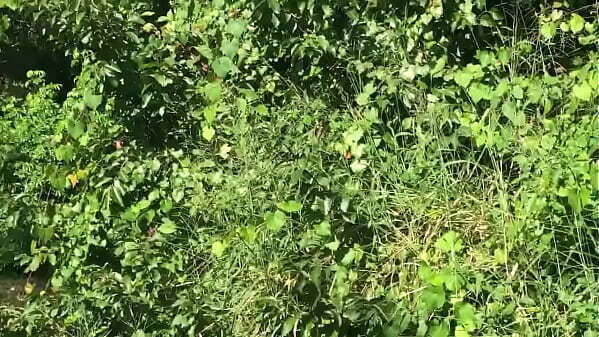 House under Brian&rsquo_s