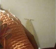 Lil ass and a thick dildo