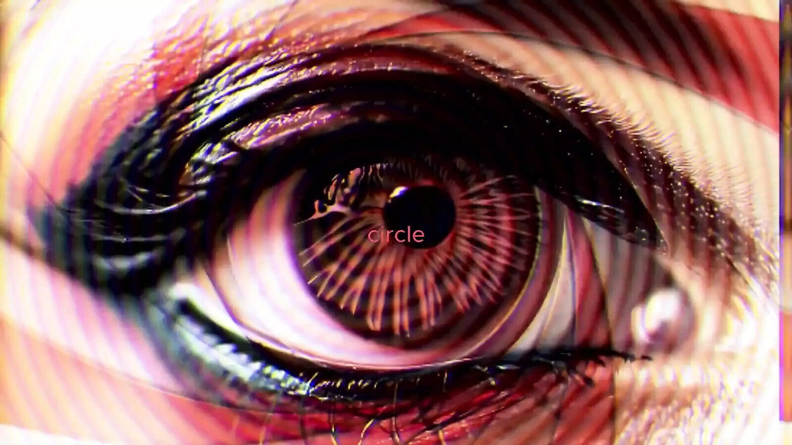 Masterclass Fagsubmissive Obedience