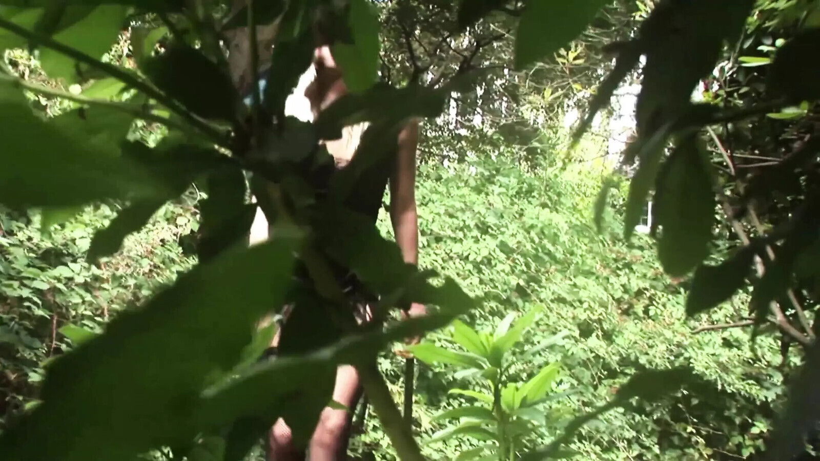 Angel Long knew lost magical garden. Angel Long Making Fantasy Fucking Cocks Once Come True