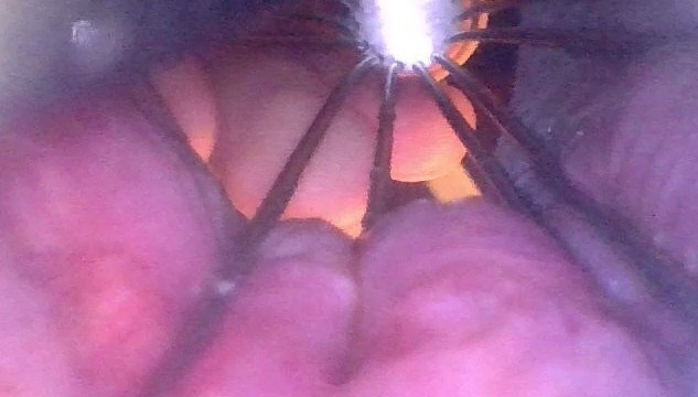 POV: Whisk while you're inside Preview